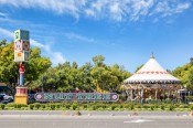 VACAVILLE (THE NUT TREE)